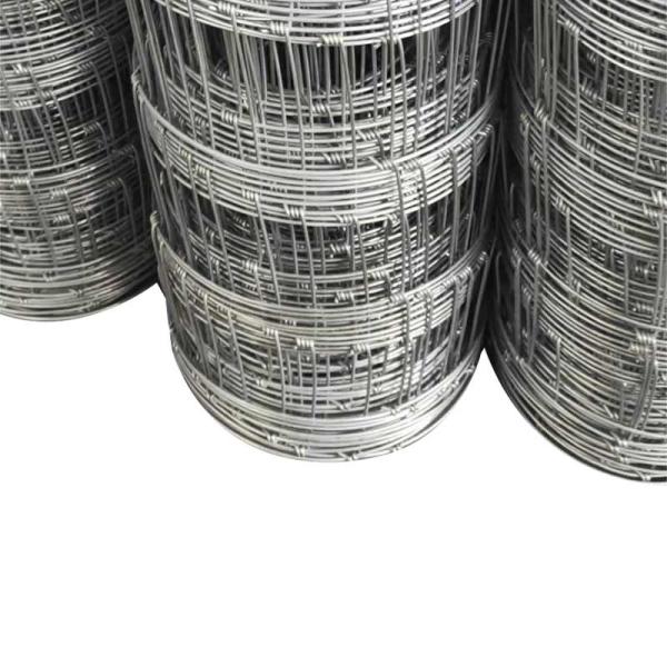 Завод фермеров по ограждению из оцинкованной проволоки