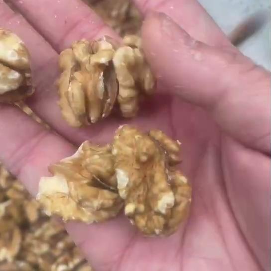 Walnut Kernel Sorting Machine Intelligent Multi-Angle Imaging Modular Design Smart Self-Learning High-Efficiency