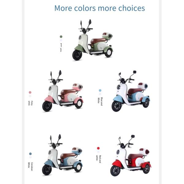 2024 Hotselling Electric Tricycle 3 Wheel Motorcycle Bike with Single Gross Weight of 75.000 kg and Range per Power 60 km