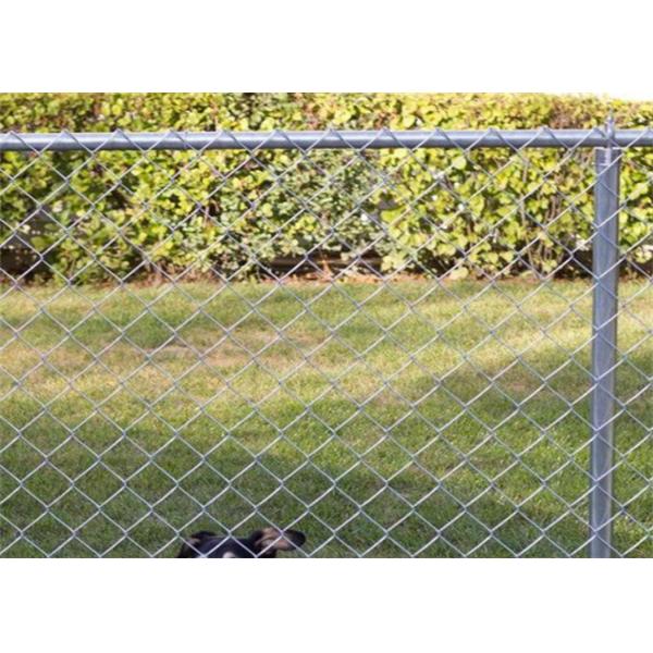 11 Gauge Temporary PVC Coated Chain Link Fence For Construction