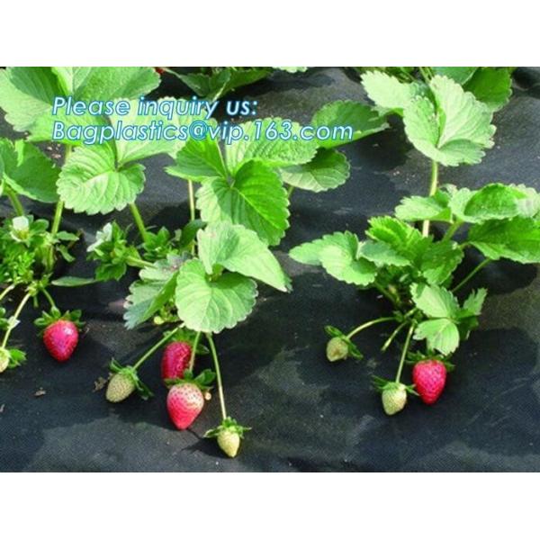 Non-Woven Vegetation Antifreeze Plant Drawstring Shrub Cold Jacket Garden Protection Bag Winter Tree Protective Cover