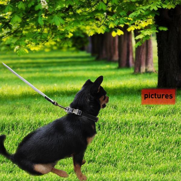 Durable Running Canvas Padded Pet Dog Leash , Colorful European Dog Leash