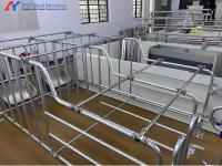 Cajas galvanizadas para el parto de cerdos Equipos de cervecería Cama para el parto de semillas