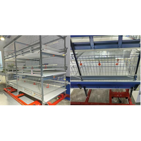 Galvanized 380V 120/150 Broiler Chicken Cage For Poultry SGS Certificated