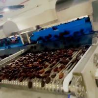 Machine de tri de dattes industrielles à haut rendement avec IA 6/8 voies 8 modèles de sorties