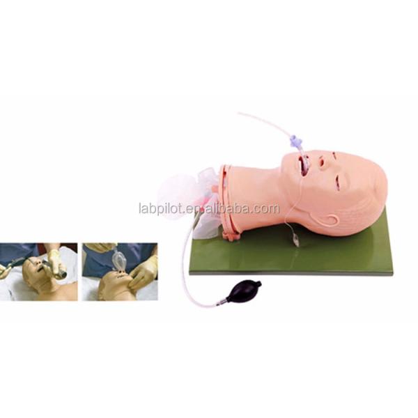Multi-functional Endotracheal Intubation Training Mannequin for Airway Management Model