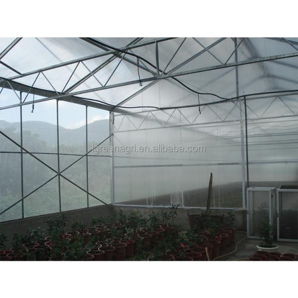 WL108Y Large IGreen Polycarbonate Panels Customized Length for Greenhouse