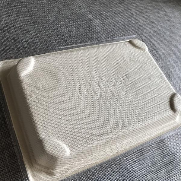 使い捨て食品容器 バガス製パン包装箱 PET蓋付き
