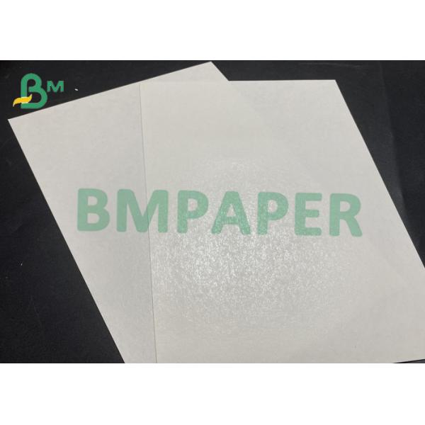 210gsm Food Grade Cups Bowls Paper шары бумажное 32PLA чашек качества еды 210gsm прокатали диаметр 1.3m крена