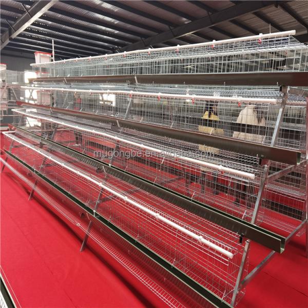 Layer Chicken Battery Cage for Chicken Breeding