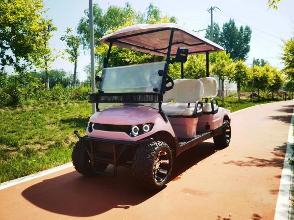 Un chariot de golf à batterie au lithium à double élève peut transporter 4 personnes pour les activités du club de mariage