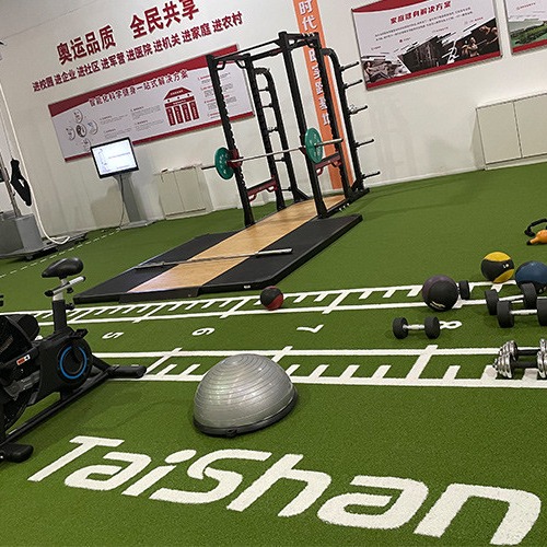 19mm Pile Height UV Resistant Pattern Artificial Grass White Line for Gym and Golf with Non-infill Installation