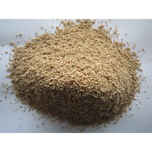 Wholesale High Grade Dashi Soup Seasoning with 12 Months Shelf Life and Special Fish Flavor