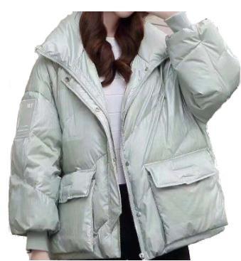 Windproof Female Down Jacket , Padded Ladies Down Parka Casual Style