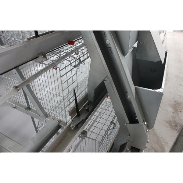 Automatic A Type Layer Chicken Cage Poultry Feed Farm Cage Egg System