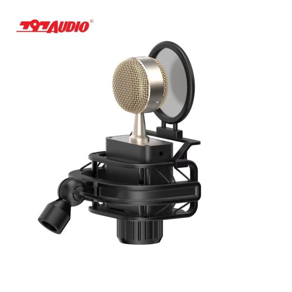 797Audio CR632 Professional 3-Pin XLR Studio Condenser Microphone Light-Weight Customized Recording Mic with Best Price