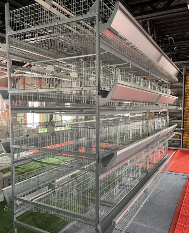 High Efficiency Easy Setup Poultry Farming Equipment with Hot Dip Galvanized Steel Automatic Poultry Cage System