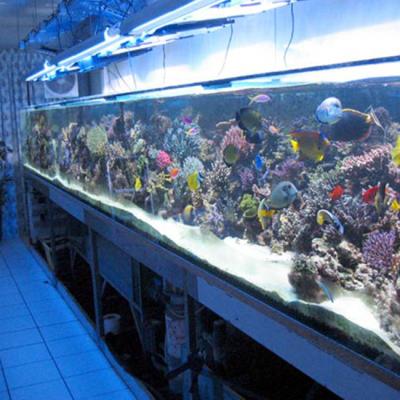 6mm 3mm Clear 93% Acrylic Sheet Aquarium Board For Swimming Pool
