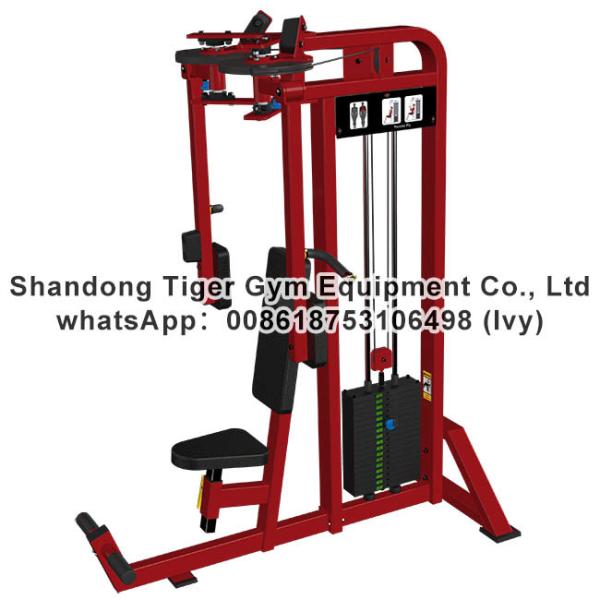 Single Station Gym fitness equipment machine Pectoral Fly / Rear Deltoid exercise machine