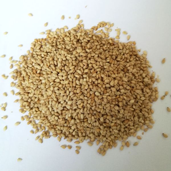 Food Health Agriculture Product Roasted White Sesame Seed for Cooking Food Sesame Healthy Food From Supplier Bd