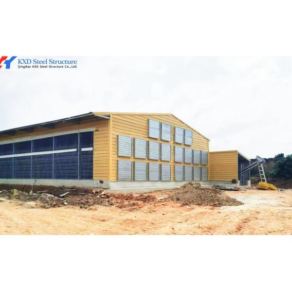 Galvanized Steel Structure Poultry House with Automatic Feeding System