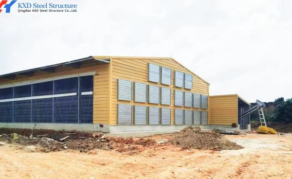 Galvanized Steel Poultry House with Cage Feeding System for Layers & Broilers