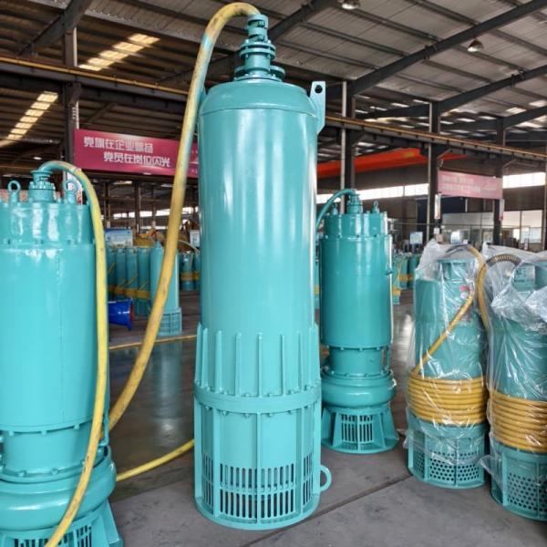 High Head Large Flow Submersible Drainage Pump 315kW 1500m³/H 50m For Mining And Oil Extraction