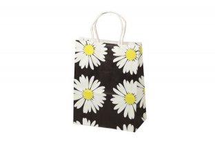 Retail paper bag 08