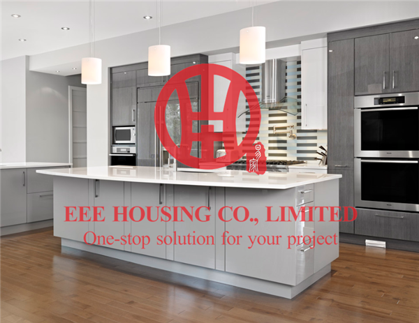 Customized Modern Lacquer Kitchen Cabinet with Excellent Design and Quality MOQ is 1 set & Shipping by Sea