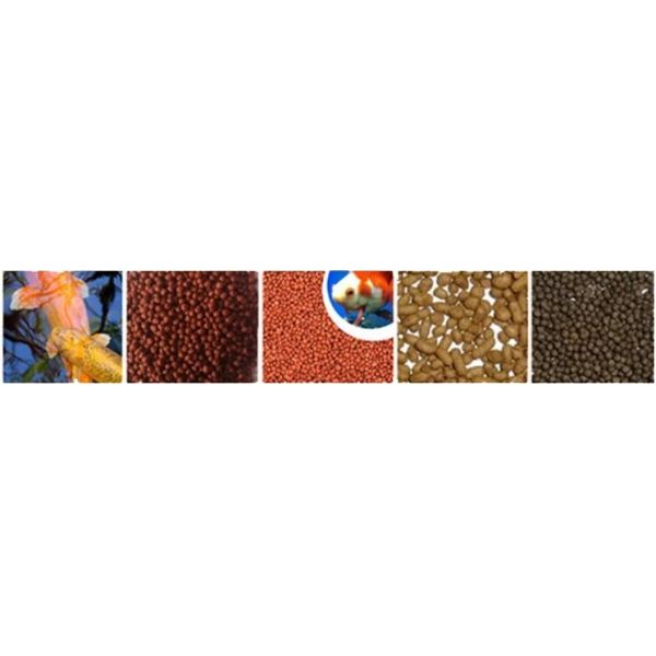 floating fish feed extruder machine designed for producing sinking and simple floating fish feed pellets using twin screw extrusion technology
