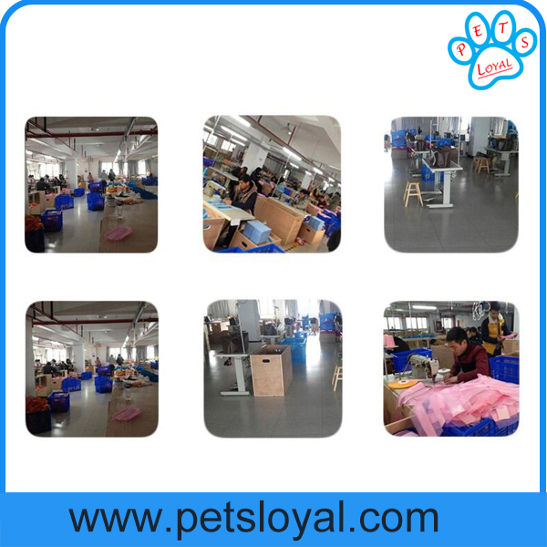 Pet Product Supply Cheap High Quality Colorful Dog Life Jacket China Factory