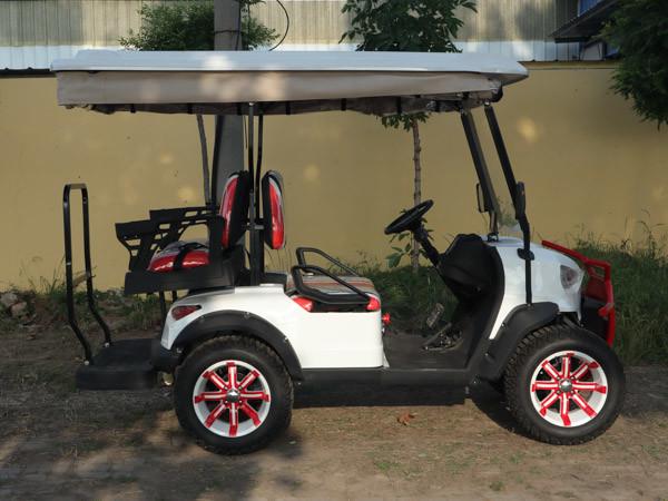 Chariots de golf sur mesure batterie au plomb acide exploité hors route rue légale électrique