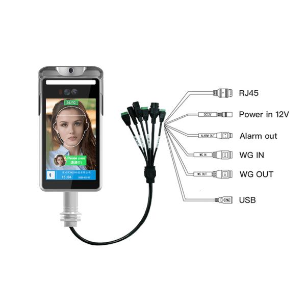 Linux Ip65 Face Recognition Terminal With Temperature Measurement