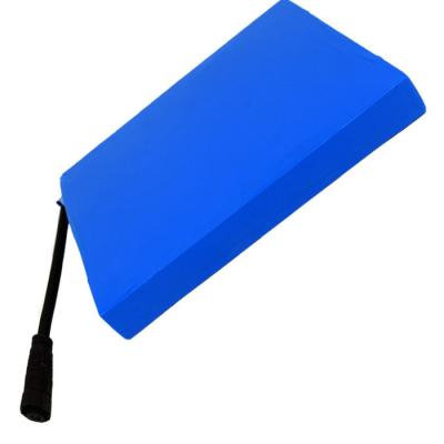 Outdoor 11.1V Battery Pack Lithium Iron Phosphate Battery For RV