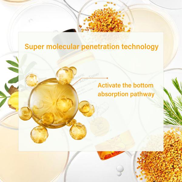 OEM Cúrcuma Anti acné Marcas Tónico de desvanecimiento Hidratante Hidratante Cuidado personal Cuidado facial Cuidado de la piel Tónico de arroz