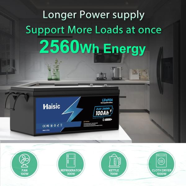 100A 最大連続放電電電流 リチウムイオン電池 ローバーボートゴルフカート