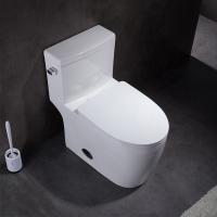 CARTE d'une seule pièce 800G de cabinet d'aisance de toilette d'Ada American Standard Floor Mounted