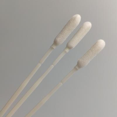 A coleção de espécime estéril espuma cotonetes nasais derrubados