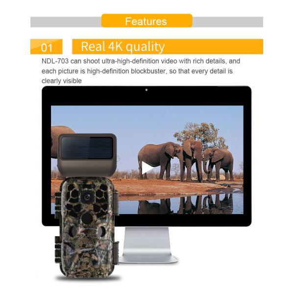 4k Ip65 Waterproof Night Vision Wildlife Camera 30fps Outdoor 60M 38PC IR LED