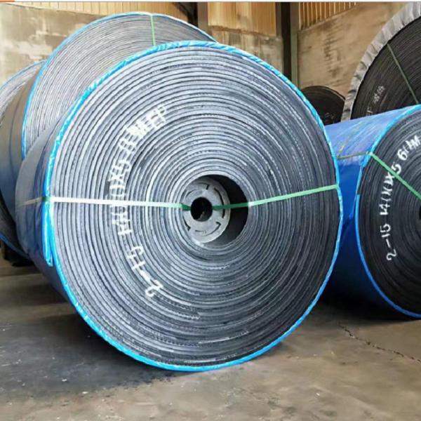 Heat Resistant Special Conveyor Belts ST1600