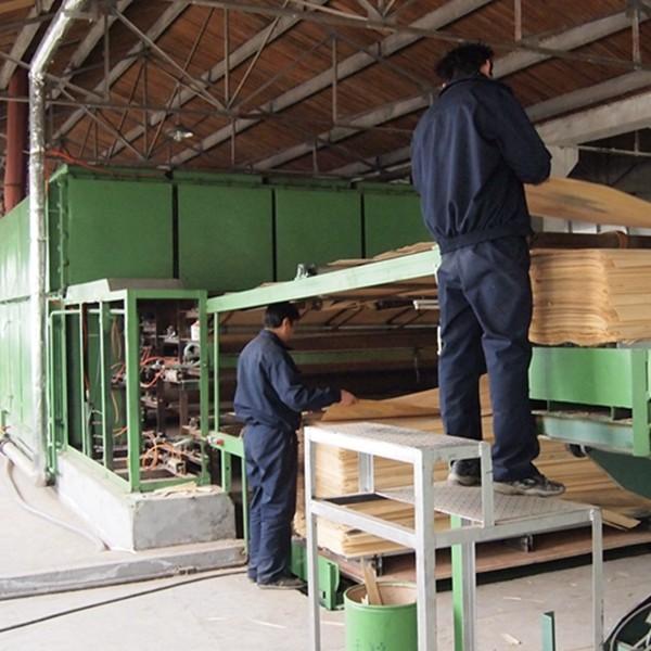 0.5mm Engineered Elm Wood Veneer Sheet For Fancy Panels 2500-3100mm Lengthened Quarter Cut Color Of Brown ELM-580Q/125Q/1278Q