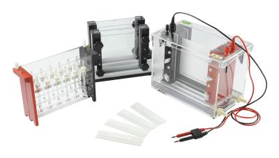 Mini Id Tube Gel Electrophoresis System～2500ml Buffer Volume Jy-sx3 2d