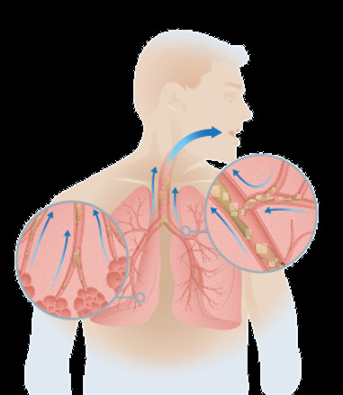 Portable Healthcare Vest Airway Clearance System Devices 220V