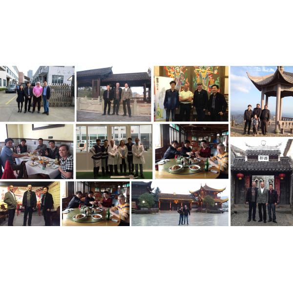 ISF2.8 BOSCH Diesel Fuel Injectors 5309291 5258744 0445110376