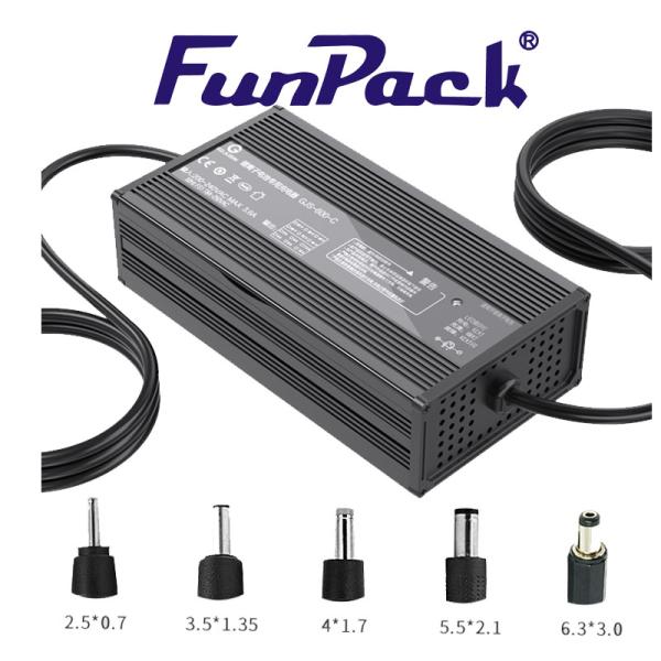 36v 48v 60v Lifepo4 Lithium Battery Charger 58.4V 8A 73V 7A EV Charger ODM