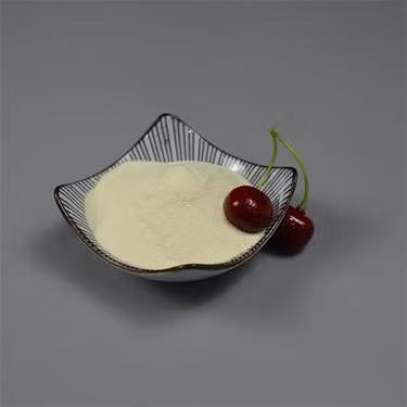 100% Water Solubility Industrial Egg White Powder 90%