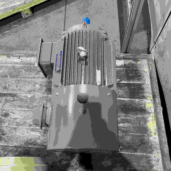 Медный постояннотоковой мотор высокое эффективное IP55 DC/56/65