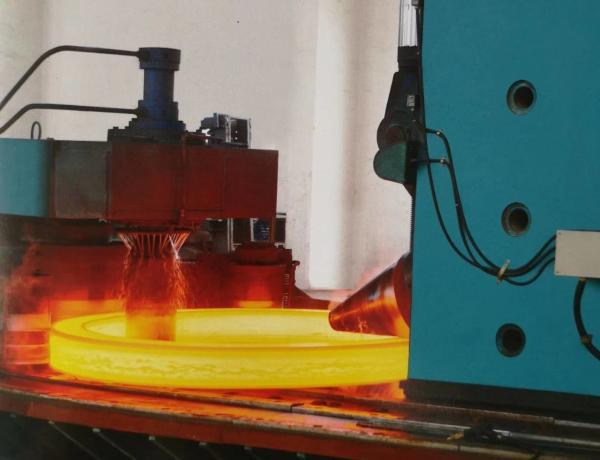 SGS Petrochemical  F316Ti Forged Steel Rings Seamless Weldable