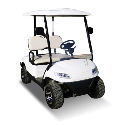 Carrinho de golfe elétrico Terminator 48V para 2 passageiros New Energy 5KW OEM