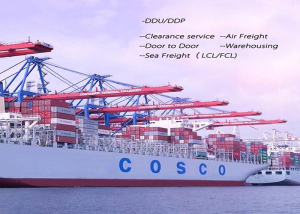 40GP International Sea Freight Forwarding , Ocean Container Shipping Forwarder